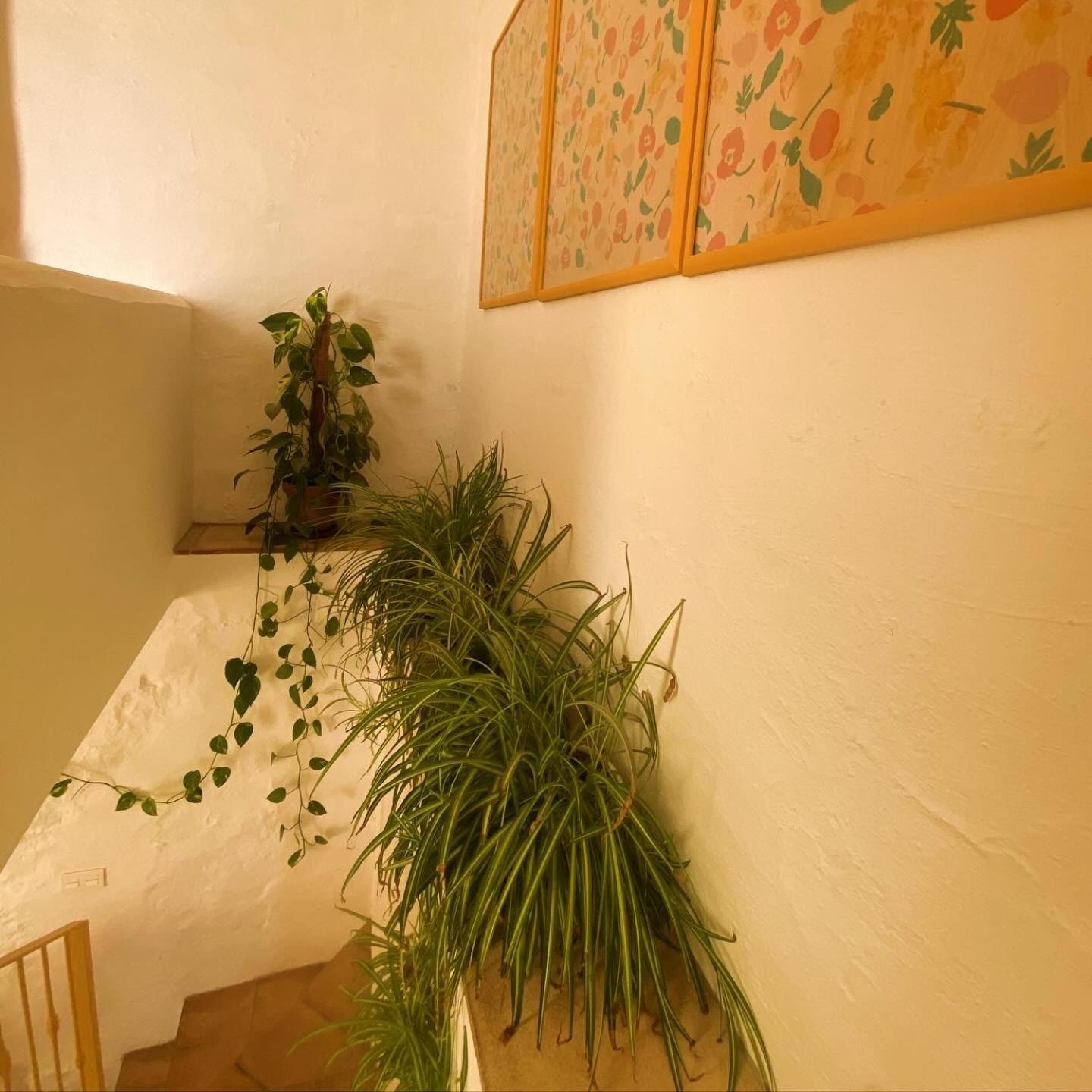 Apartment Romantic Garden